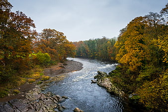 Scenic River Flowing Through Autumn Forest Landscape