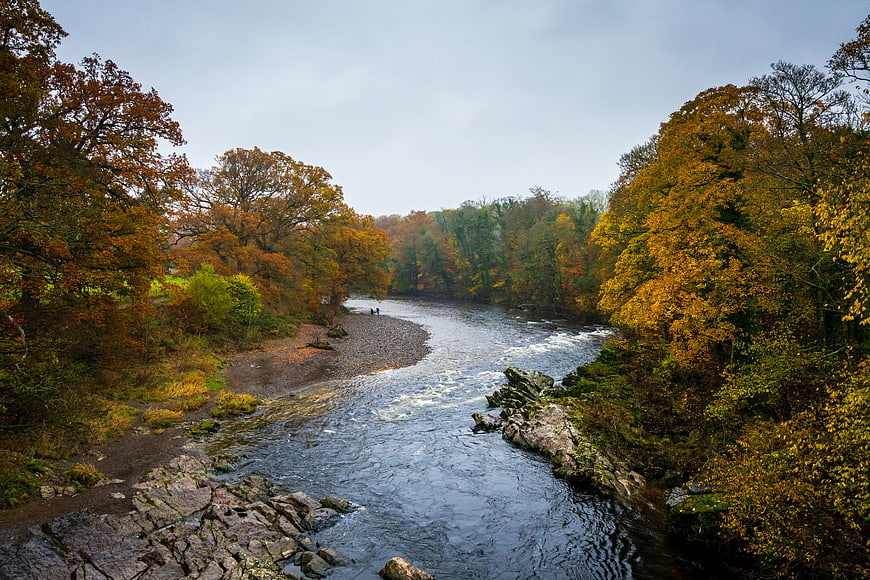 Scenic River Flowing Through Autumn Forest Landscape