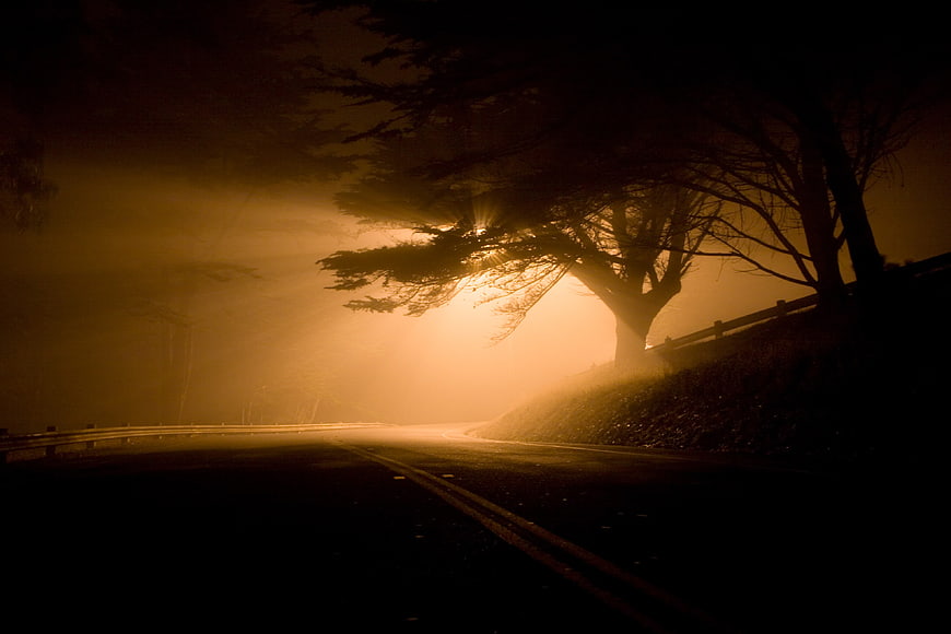 Misty Night Road With Silhouetted Tree And Street Lamp