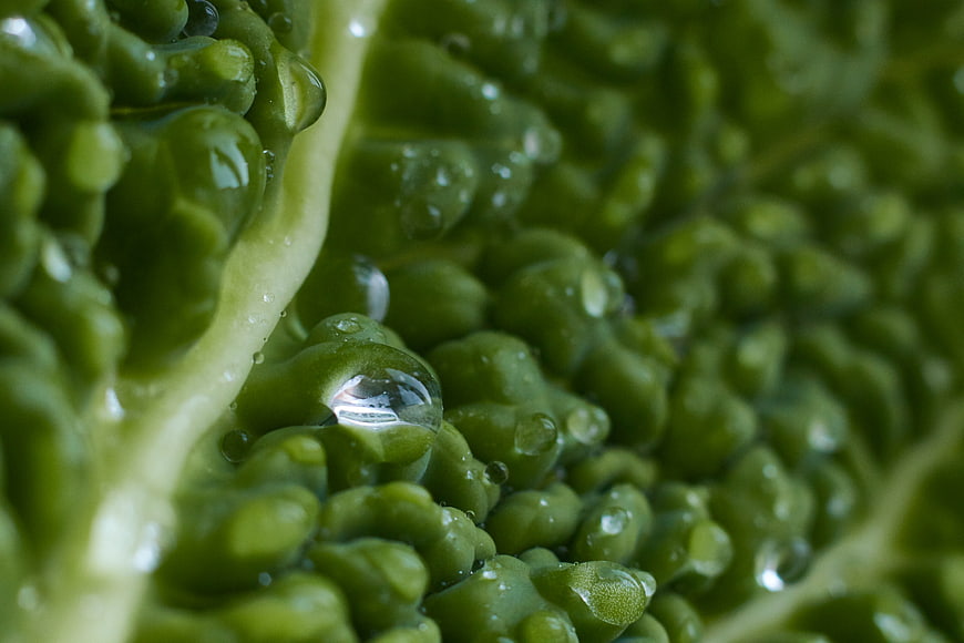 Macro Close-Up of Fresh Green Cabbage with Water Droplets