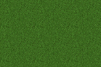 Green Grass Texture Background Pattern