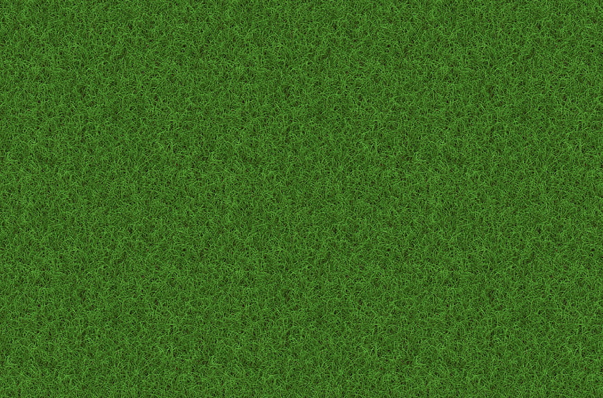 Green Grass Texture Background Pattern
