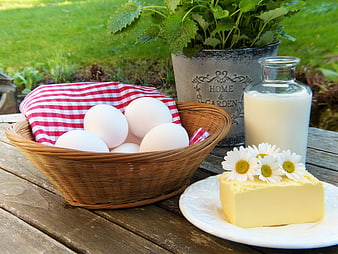 Fresh Farm Ingredients: Eggs, Milk, Butter, and Herbs Outdoors