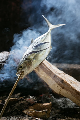 Fresh fish roasting on a stick over a campfire