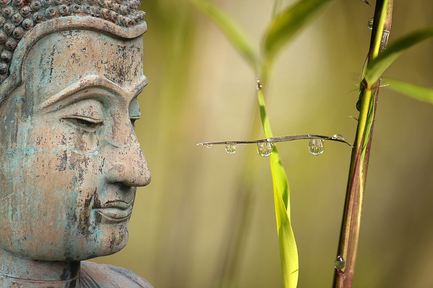 Close-up of weathered Buddha statue face with water droplets on bamboo
