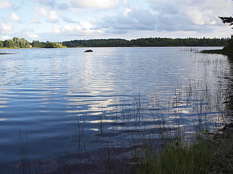 Serene Lake Landscape with Forest Shoreline and Cloudy Sky