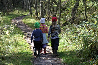 Three children hiking on a forest path in summer