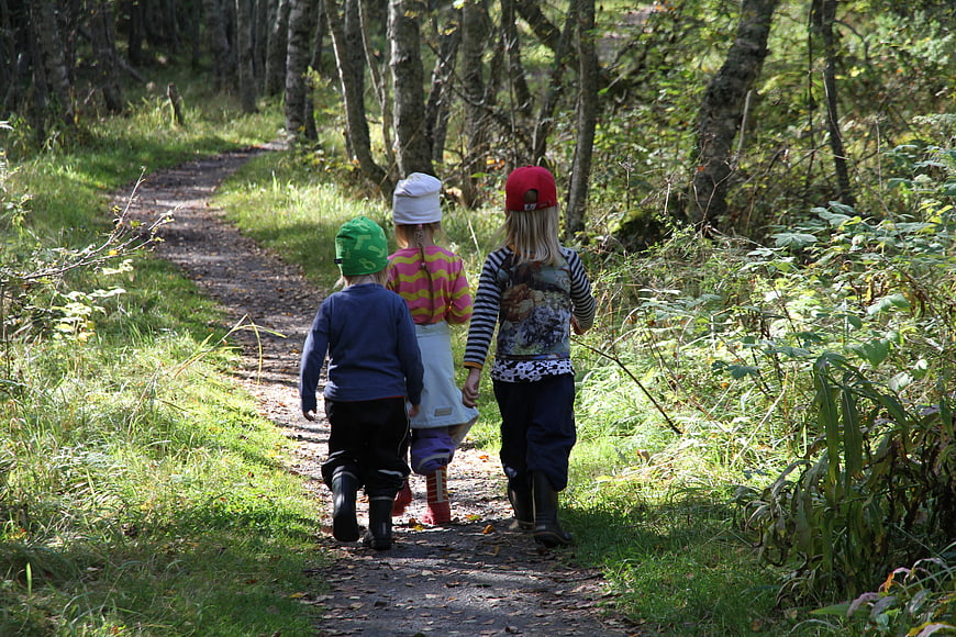 Three children hiking on a forest path in summer