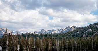 Panoramic Mountain Landscape with Pine Forest and Cloudy Sky