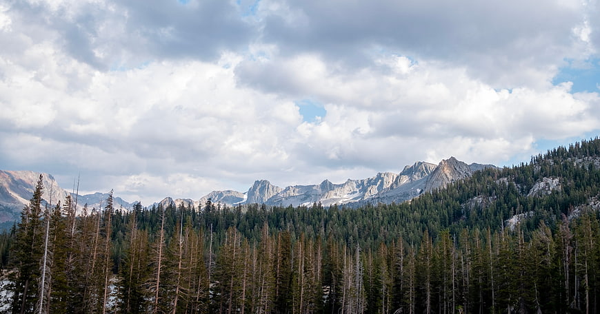 Panoramic Mountain Landscape with Pine Forest and Cloudy Sky