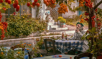 Senior man smoking at outdoor table surrounded by ripe red tomatoes