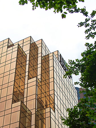 Modern Glass Office Building with Green Tree Foliage