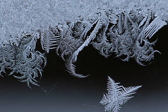 Macro Frost Crystals on Dark Background