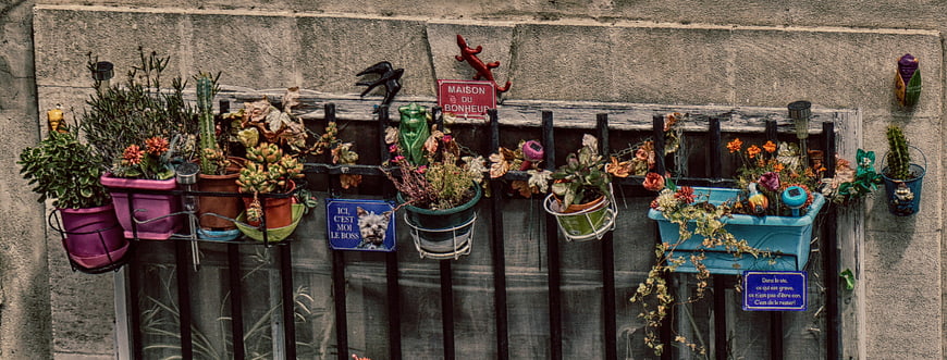 Colorful potted plants and whimsical signs on a barred window