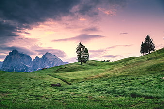 Dramatic Sunset Over Green Alpine Meadow and Mountains