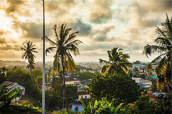 Tropical Townscape with Palm Trees and Golden Sunset Sky