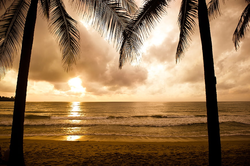 Tropical Sunset Through Palm Trees on Beach