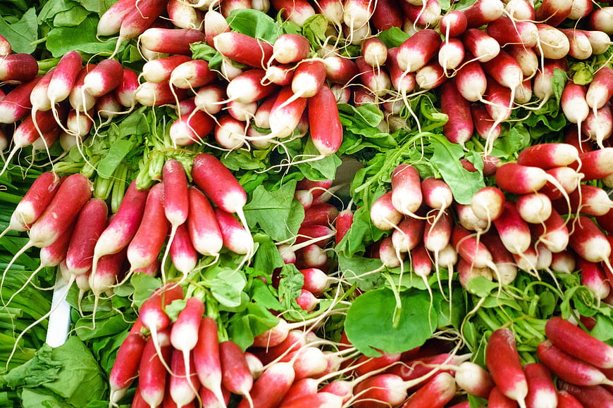Fresh Red Radishes with Green Leaves at Farmers Market
