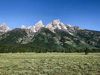 Grand Teton National Park Mountain Landscape with Sagebrush Meadow