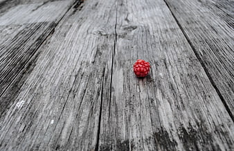 Single red raspberry on weathered gray wooden planks