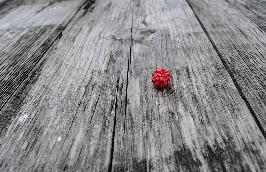 Single red raspberry on weathered gray wooden planks