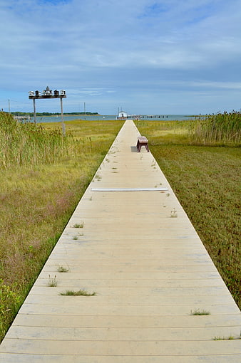 Wooden boardwalk path leading to ocean marsh landscape