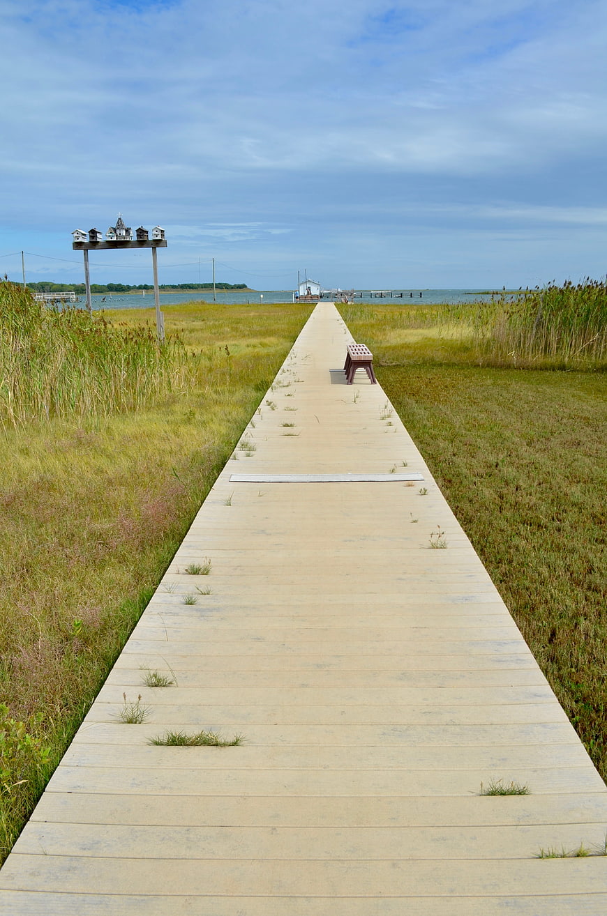 Wooden boardwalk path leading to ocean marsh landscape
