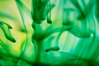 Abstract green ink swirling in water background