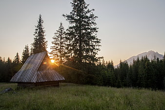 Rustic wooden cabin in forest meadow at sunset