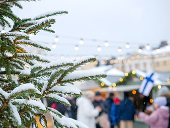 Snowy Christmas Tree Branch with Bokeh Market Lights
