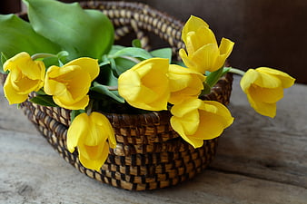 Yellow Tulips in Woven Basket on Wooden Table