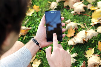 Man using smartphone in autumn park
