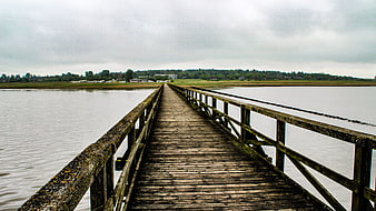 Wooden pier extending over calm water on an overcast day