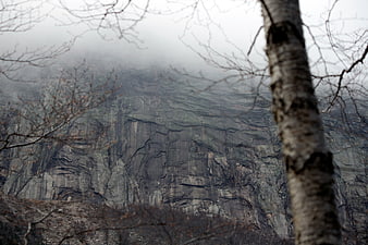 Misty Mountain Cliff View Through Bare Tree Branches