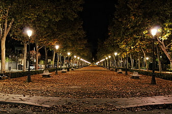 Autumn park pathway at night with street lamps and fallen leaves
