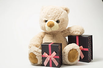 Cute beige teddy bear with black gift boxes and pink ribbons