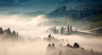 Misty Morning Landscape with Rolling Hills and Forests