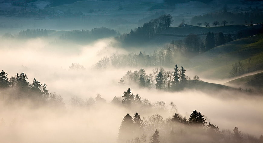 Misty Morning Landscape with Rolling Hills and Forests