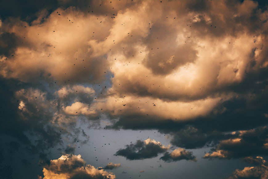 Dramatic sunset clouds with flock of birds flying