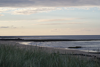 Serene coastal landscape with dune grass and calm sea