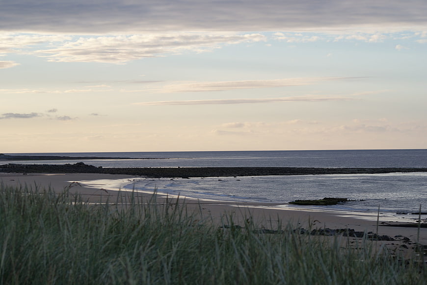 Serene coastal landscape with dune grass and calm sea