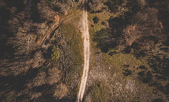 Aerial View of Winding Dirt Path Through Autumn Forest