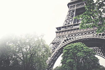 Low Angle View of Eiffel Tower with Green Trees and Foggy Sky