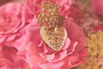Gold Heart Tag With Message On Pink Rose