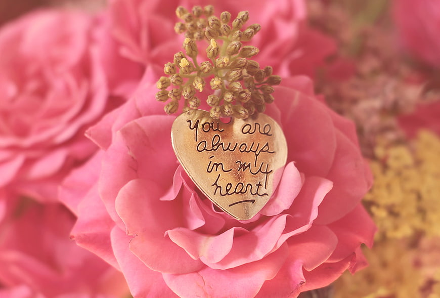 Gold Heart Tag With Message On Pink Rose