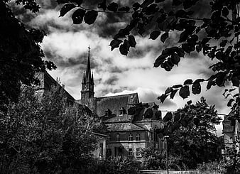 Black and white photo of an old church tower framed by dark tree branches