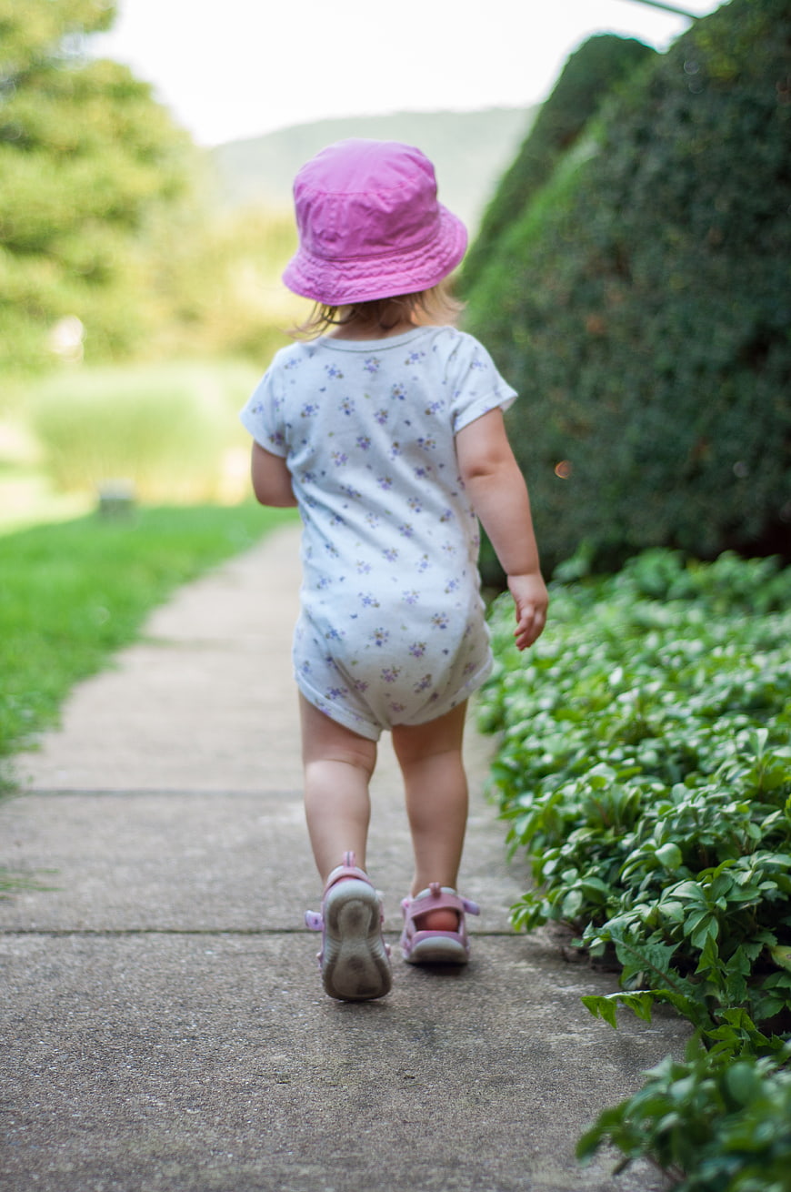 Toddler Girl Walking Away on Garden Path