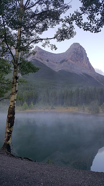 Misty Mountain Lake Landscape with Birch Tree and Reflection