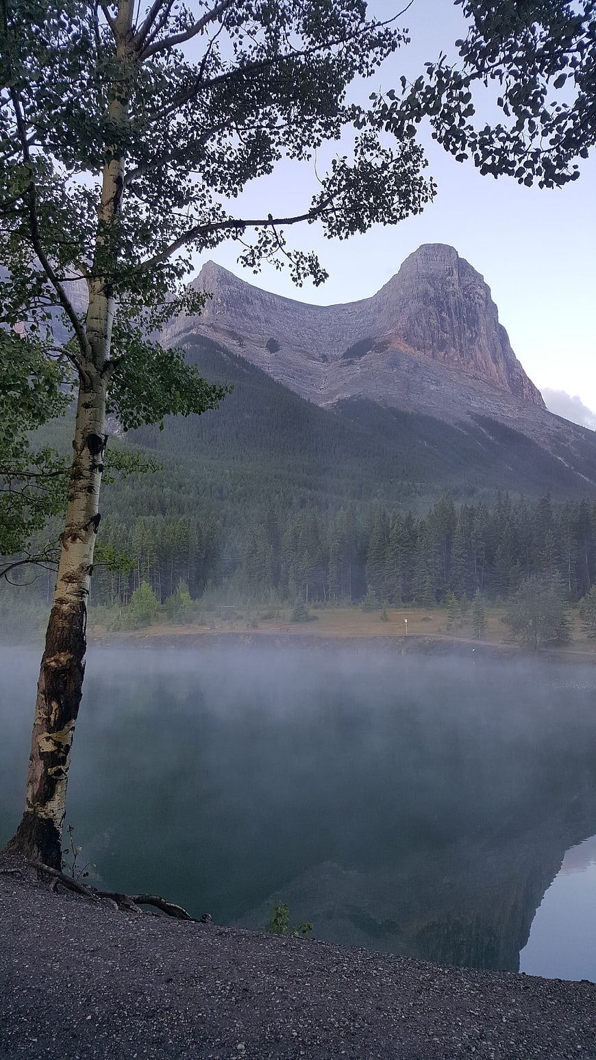 Misty Mountain Lake Landscape with Birch Tree and Reflection