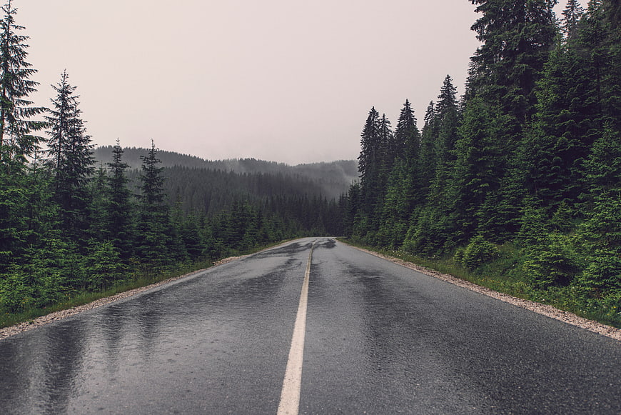 Wet asphalt road winding through misty pine forest landscape